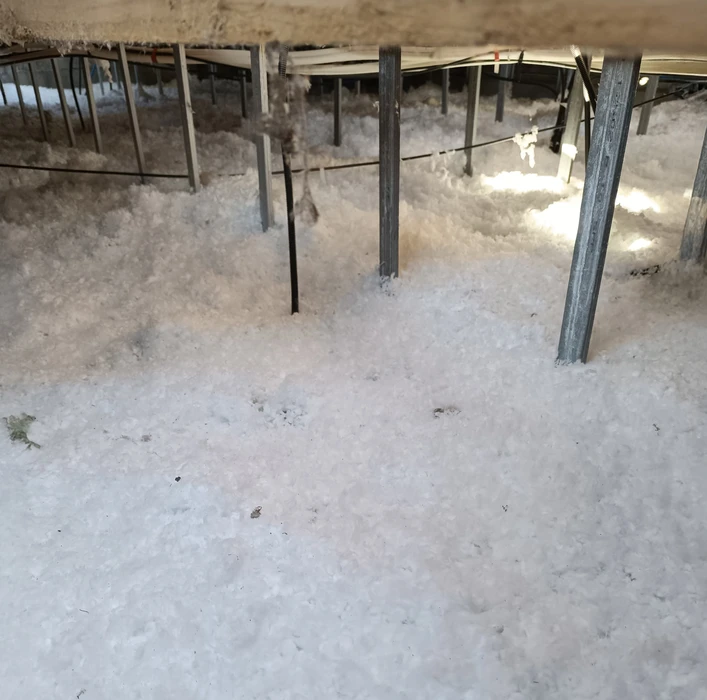 Atelier de menuiserie intérieur avec ouvrier travaillant sur structure bois