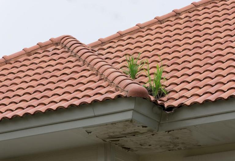 Faut-il anticiper la rénovation de toiture à Marmande avant l'hiver ?